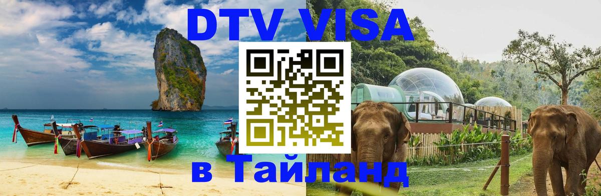 Сколько стоит DTV виза — актуальные цены, оформление даже без документов - 18.11.2025 